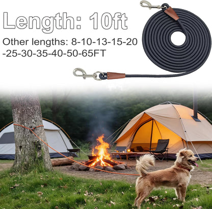 Tangle-free 360 degree rotatable zinc alloy hook on nylon rope dog lead.