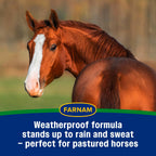Farnam Equi-Spot six count horse spot on applicator tubes display
