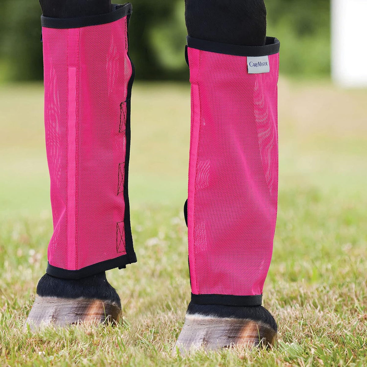Magenta mesh fly leggings for horses set of four pack
