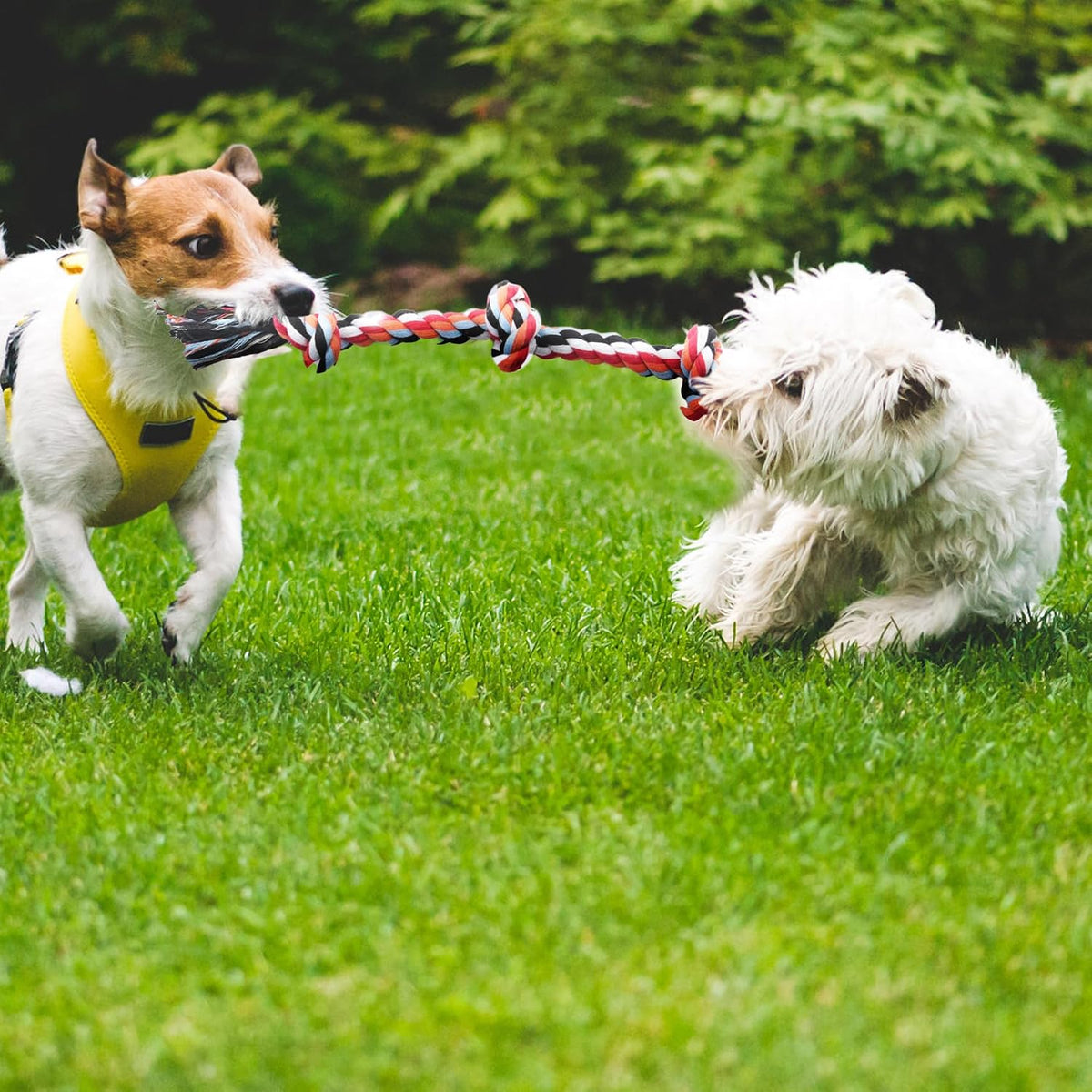 TwoEar cotton pet chew toy set demonstrating the compact size suited for small puppies
