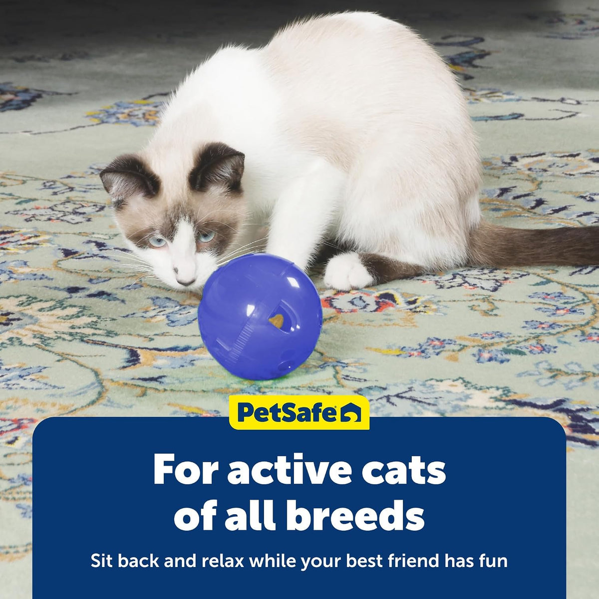 PetSafe Slimcat Feeder Ball Cat Toy, Blue - Image 6