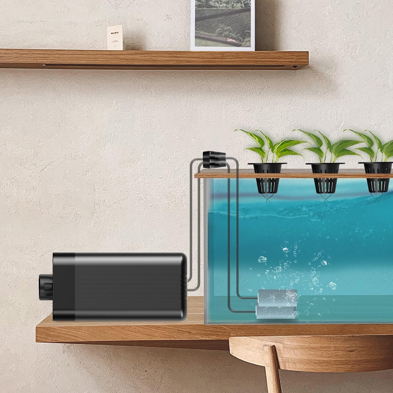 AC Infinity air pump installed in a hydroponic reservoir