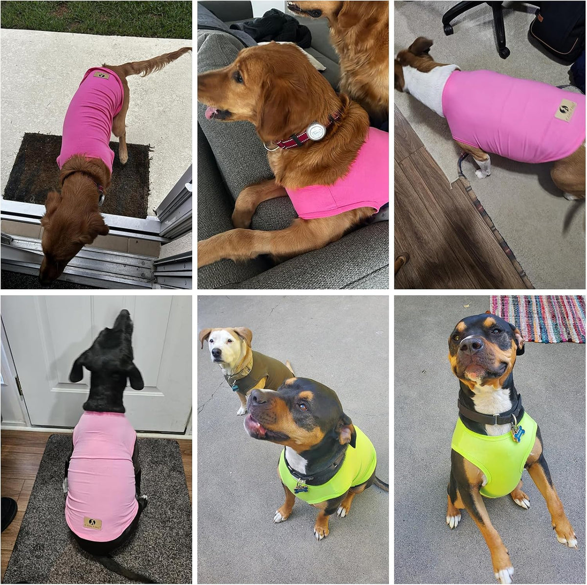 Large dog wearing Kooltail breathable cotton tank top