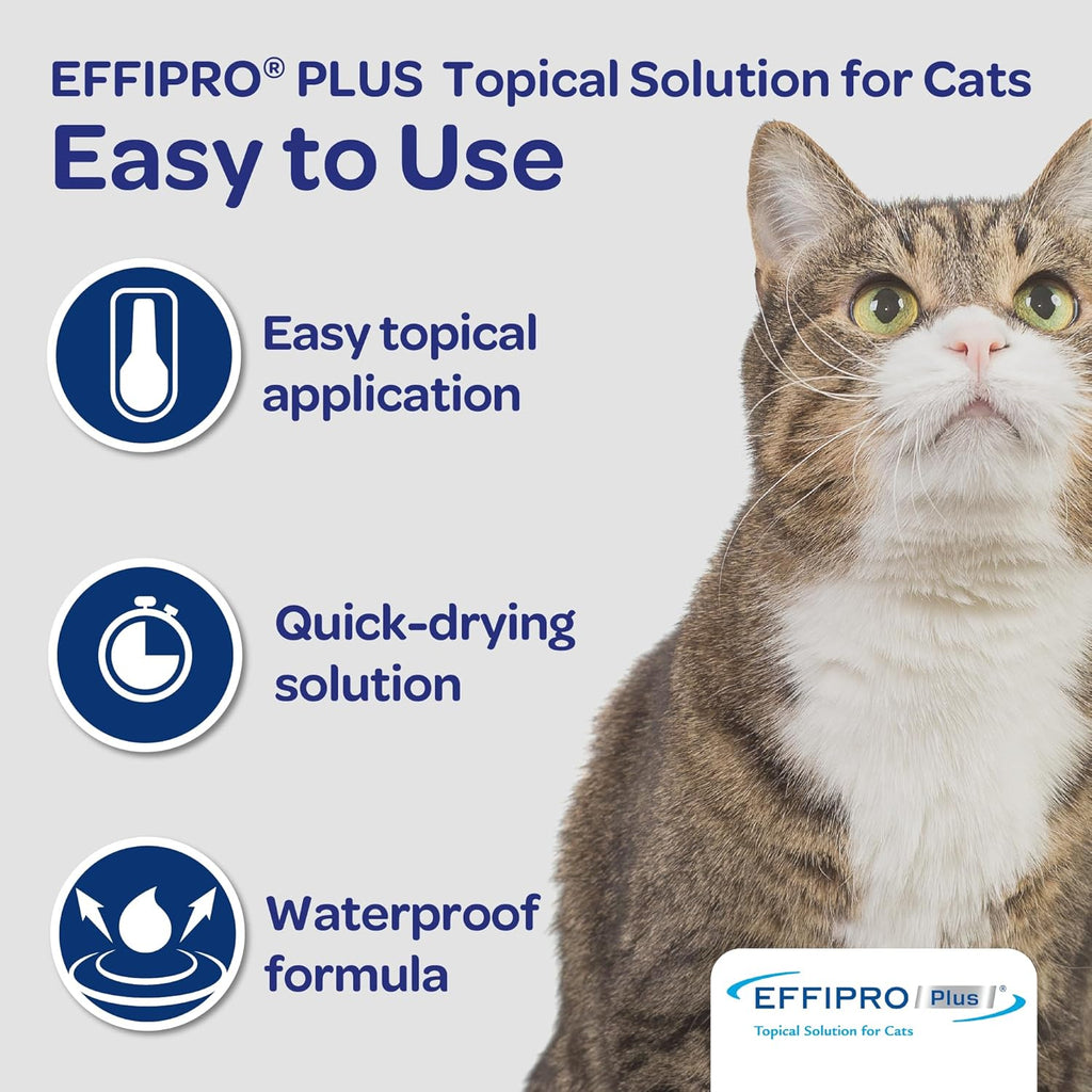 Three month supply blister pack of feline tick and mosquito protection