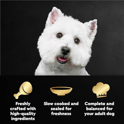 Premium imported adult wet dog food pouches in a box displaying nutritional benefits.