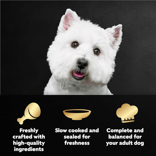 Premium imported adult wet dog food pouches in a box displaying nutritional benefits.
