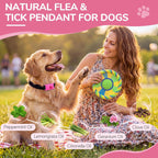 Waterproof flea and tick tag with two refills for dogs
