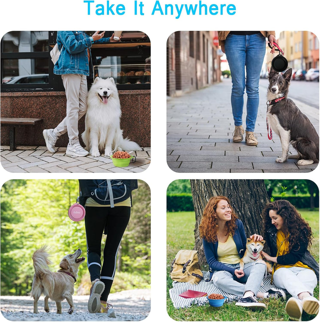 PetBonus non toxic silicone pet travel dish adjusted to half capacity level