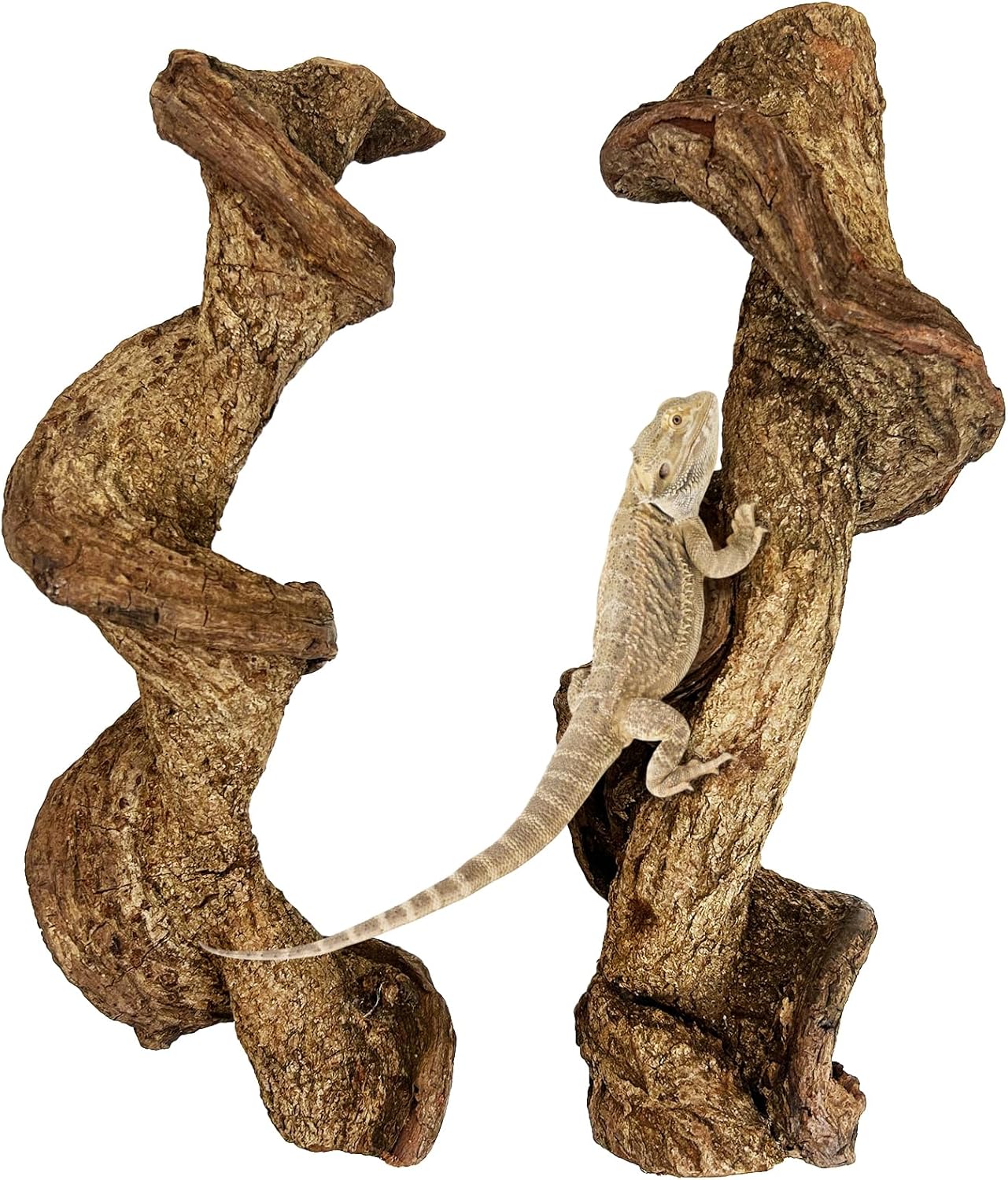 Reptile Branches for Climbing Natural Snake Climb Branch Extra Large Wood Forest Tree Trunk Decor Lizard Habitat Terrarium Decorations for Bearded Dragon Geckos Chameleon Frog - Image 9