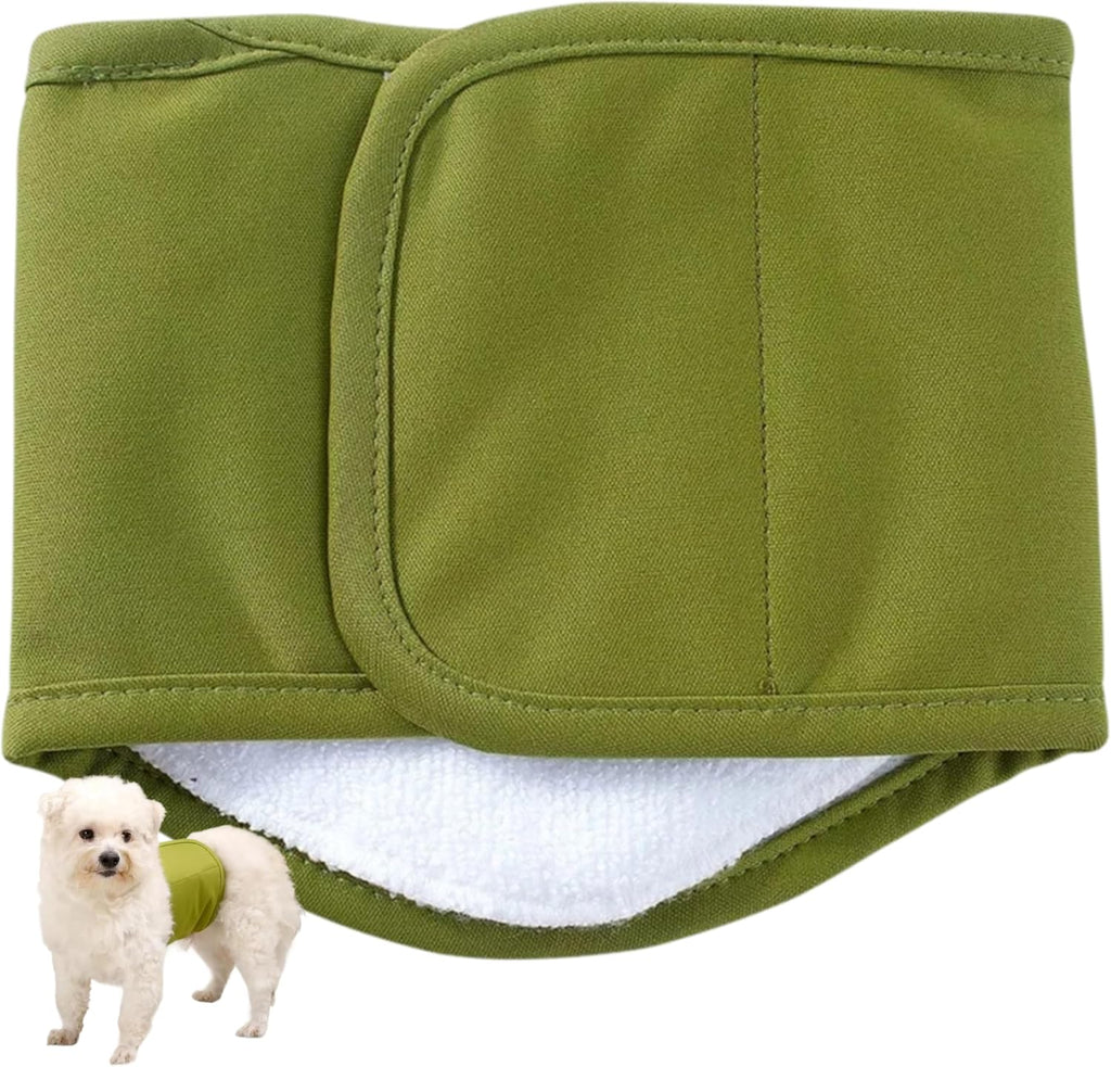 Senior dog wearing the comfortable KUTKUT leakproof belly band diaper