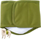 Senior dog wearing the comfortable KUTKUT leakproof belly band diaper