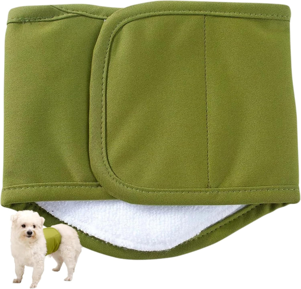 Senior dog wearing the comfortable KUTKUT leakproof belly band diaper