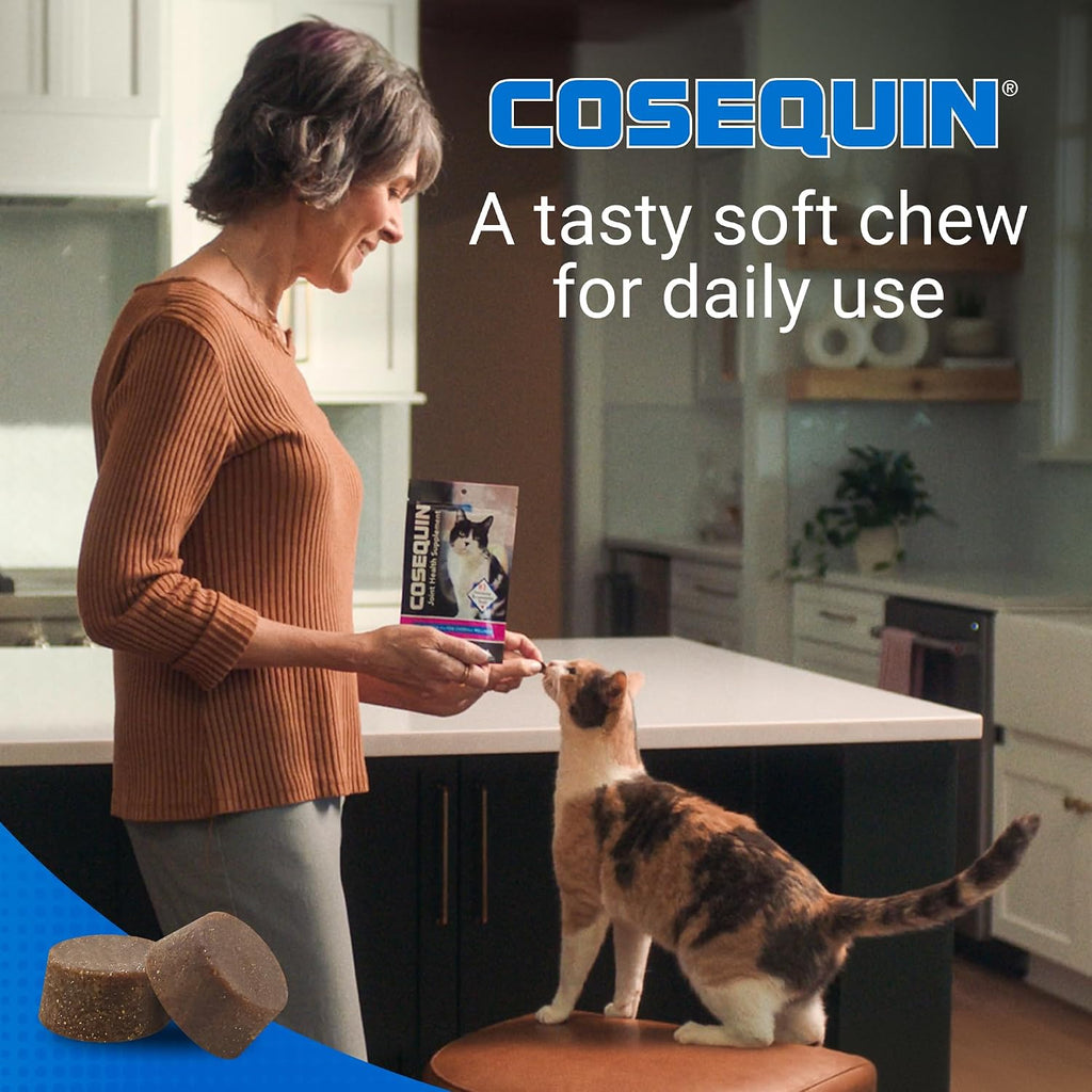 Nutramax Cosequin 60 Soft Chews Bottle With Label Details