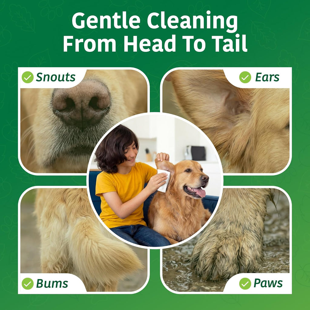 Four pack bundle of organic antioxidant dog and cat grooming wipes.