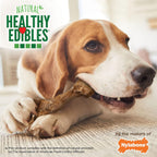 Authentic Nylabone wild natural dog bones close up texture