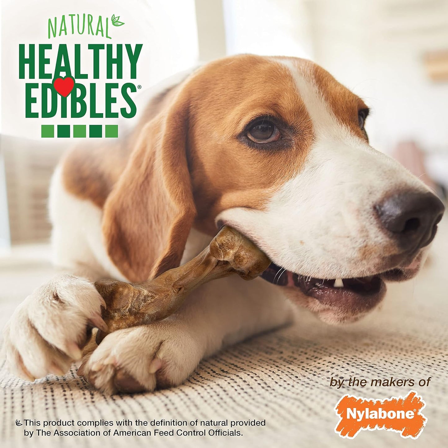 Authentic Nylabone wild natural dog bones close up texture