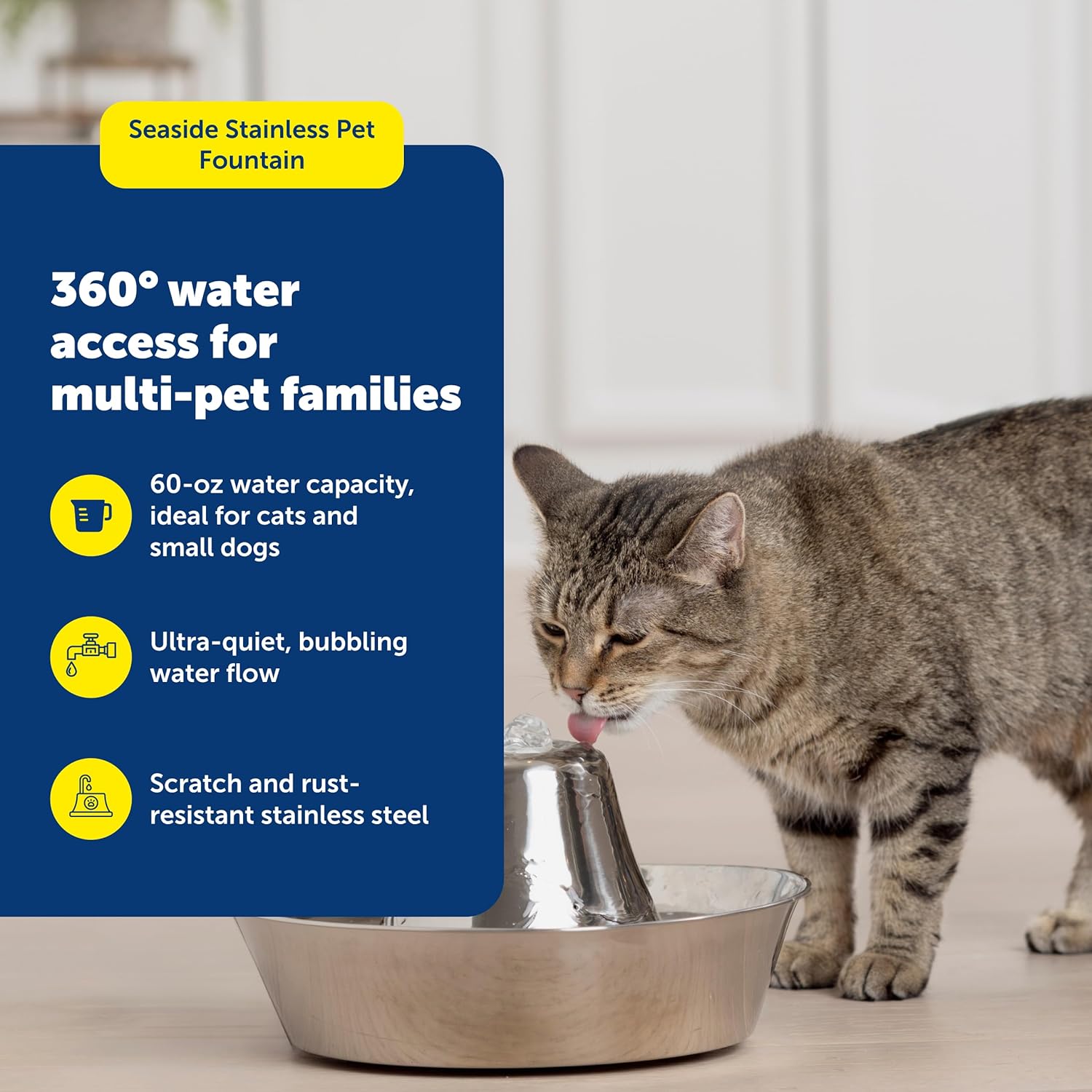 PetSafe Seaside Stainless Steel Cat & Dog Fountain, 60 Oz Water Capacity - 2 Water Filters & 1 Pump Included, Soothing Flow for Pets, Scratch-and Rust-Resistant Material - Quiet Motor - Image 3