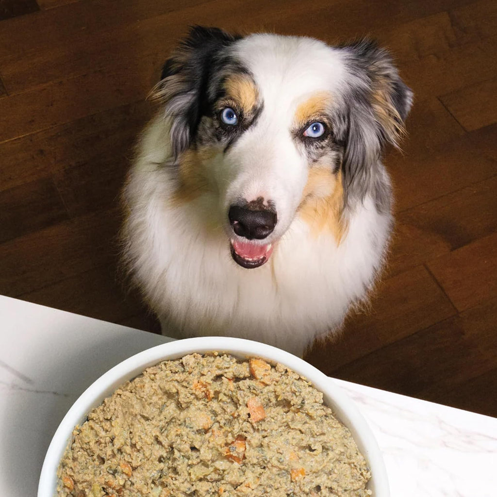 Open Farm Tummy Rescue grain inclusive recipe texture