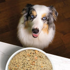 Open Farm Tummy Rescue grain inclusive recipe texture