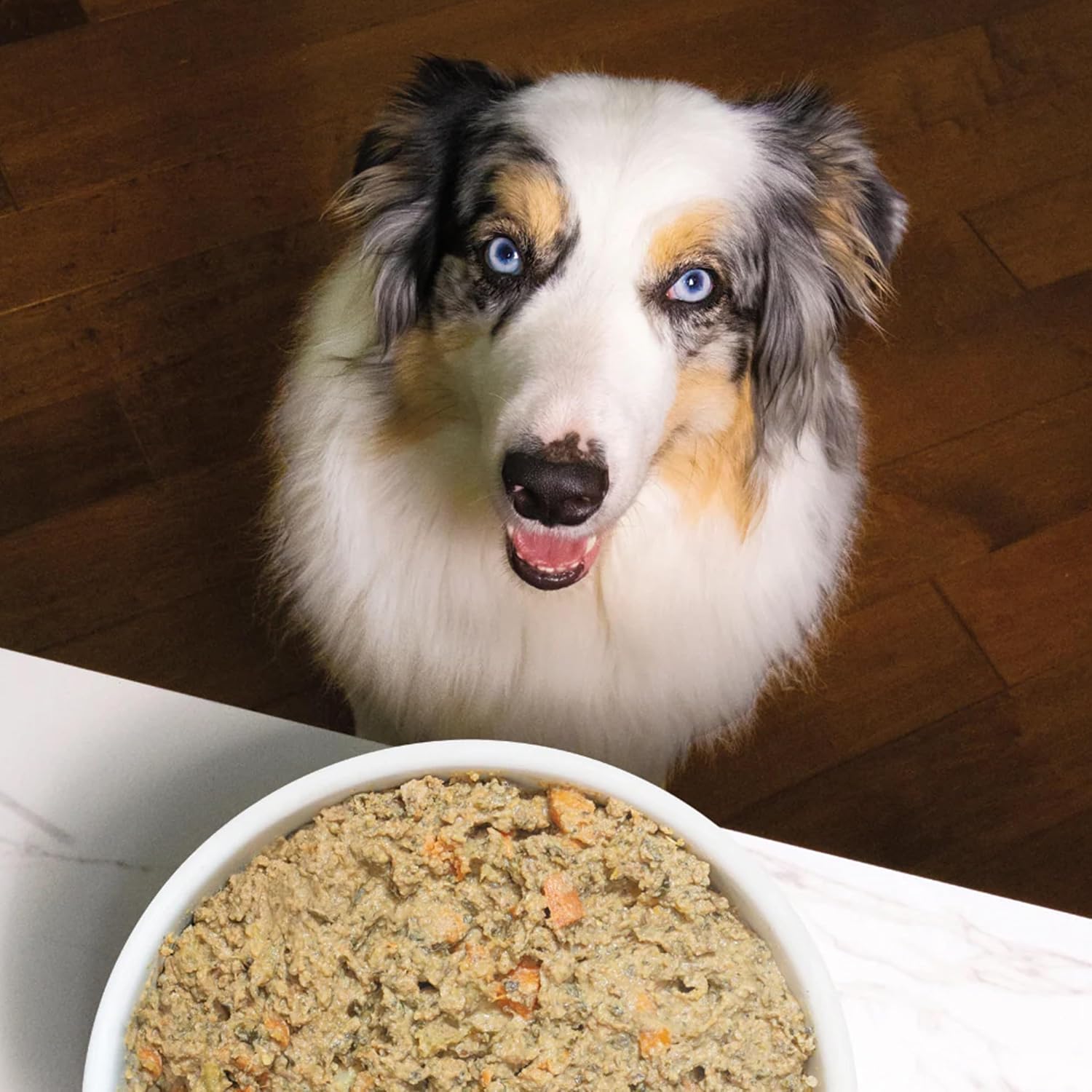Open Farm Tummy Rescue grain inclusive recipe texture