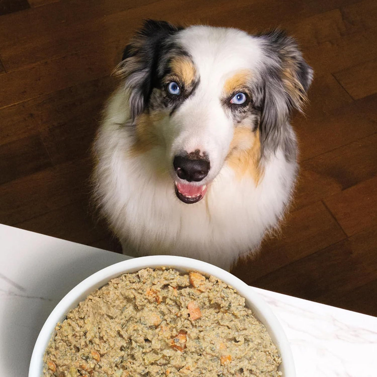 Open Farm Tummy Rescue grain inclusive recipe texture
