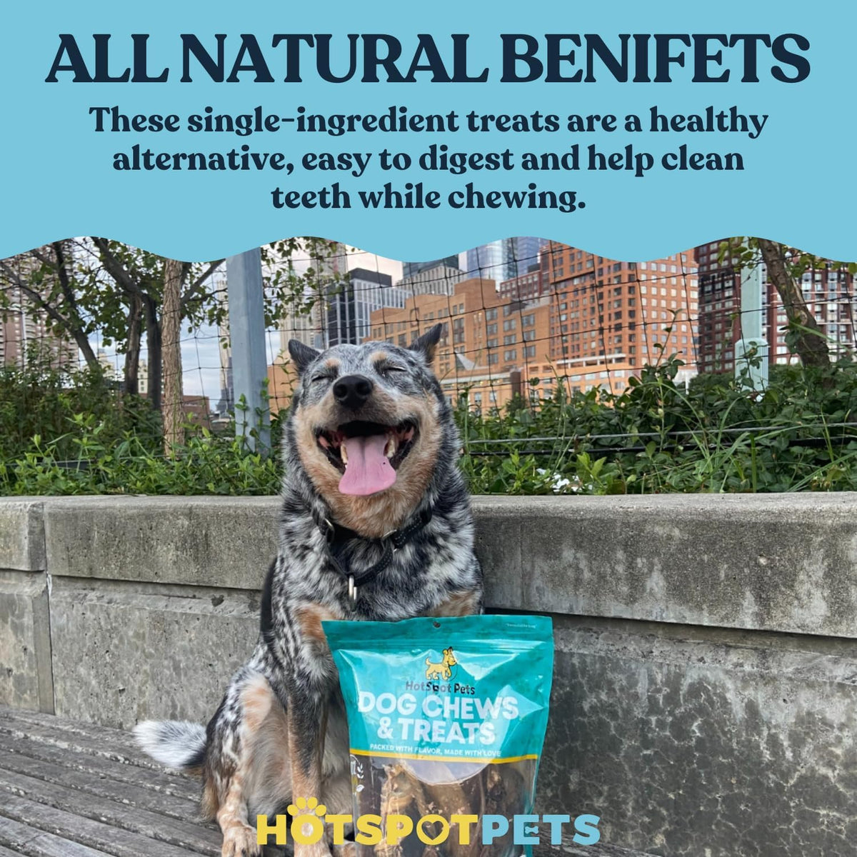 Large breed pet dental hygiene chew bones highlighting plaque and tartar control benefits.