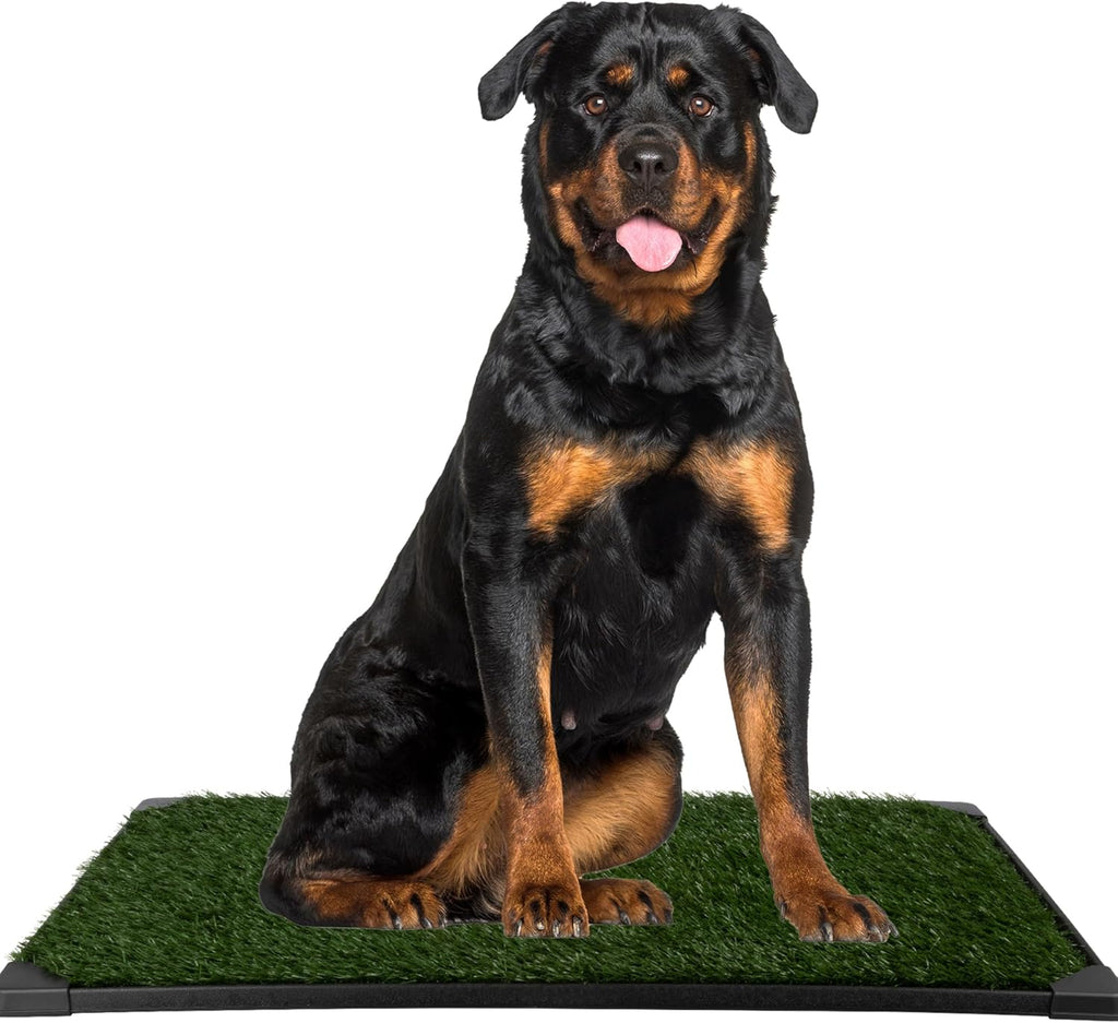 Artificial Grass Puppy Pad with Tray 16x20 inch | Reusable Indoor & Outdoor Dog Potty Training Mat System | Washable Fake Grass Pet Housebreaking Pad for Puppies & Small to Medium Dogs by PETMAKER - Image 9