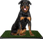 Artificial Grass Puppy Pad with Tray 16x20 inch | Reusable Indoor & Outdoor Dog Potty Training Mat System | Washable Fake Grass Pet Housebreaking Pad for Puppies & Small to Medium Dogs by PETMAKER - Image 9
