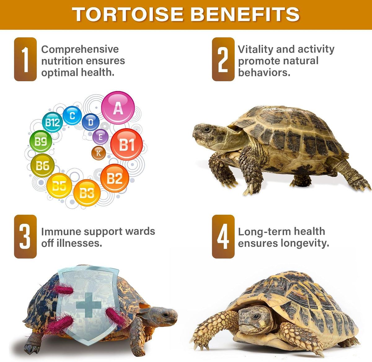 Back of Gargeer tortoise multivitamin packaging showing ingredients