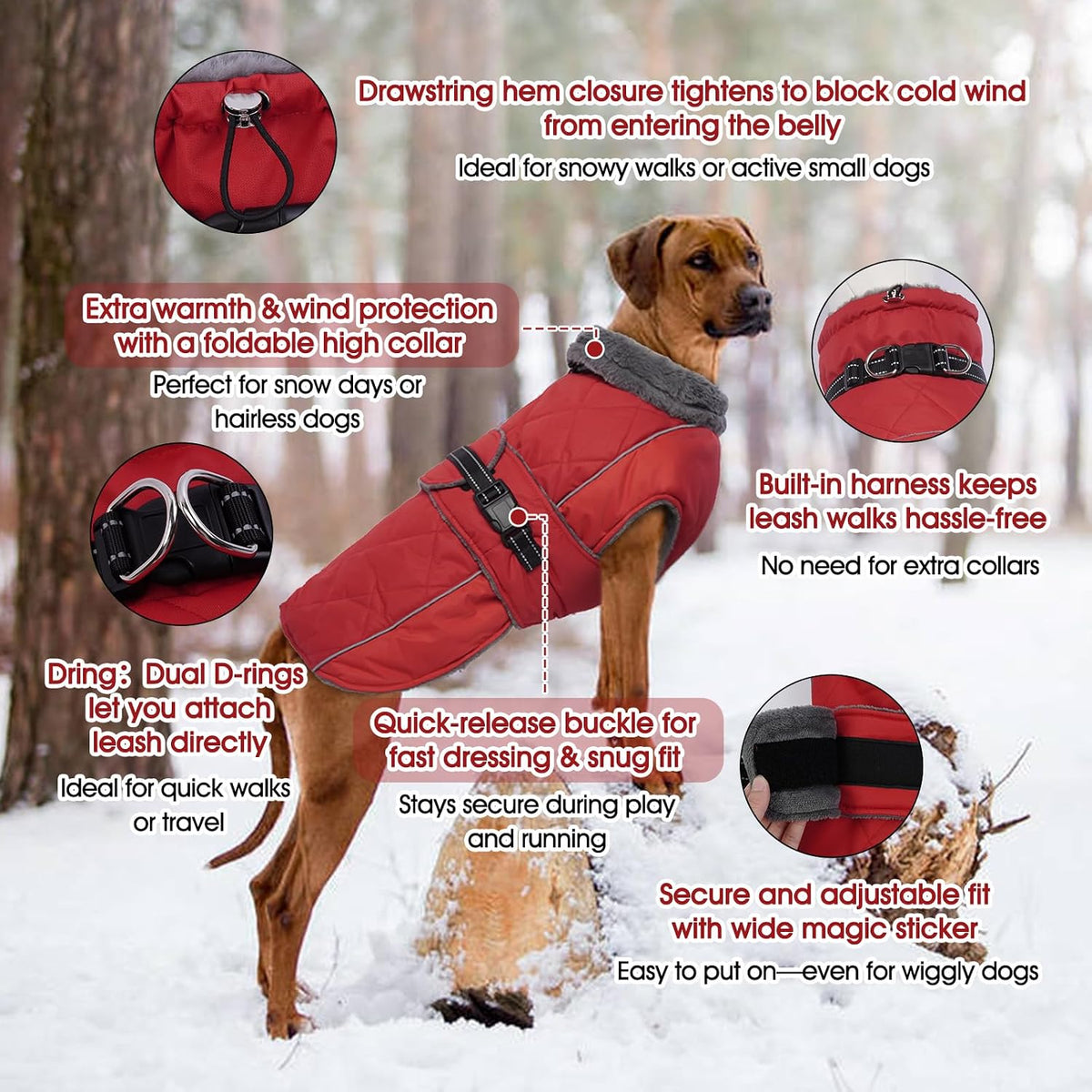 QBLEEV dog winter coat close up on the adjustable fleece lined turtleneck collar.