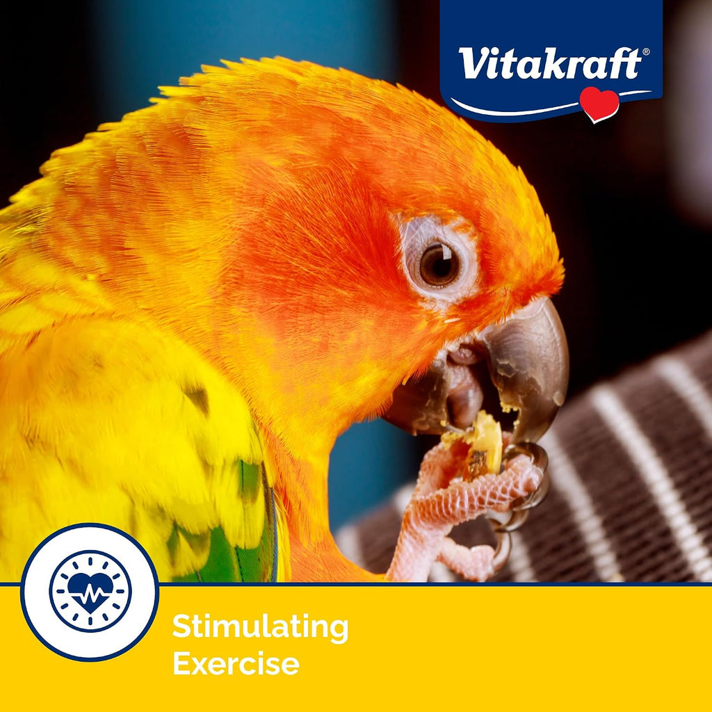 Conure bird enjoying Vitakraft Apple and Orange treat stick
