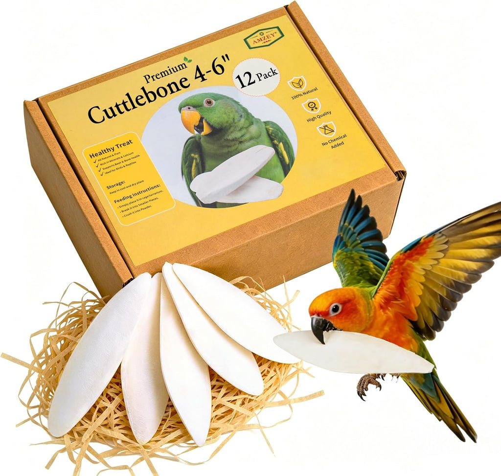 Technical Precision Amzey cuttlebone front view natural supplement
