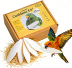 Technical Precision Amzey cuttlebone front view natural supplement