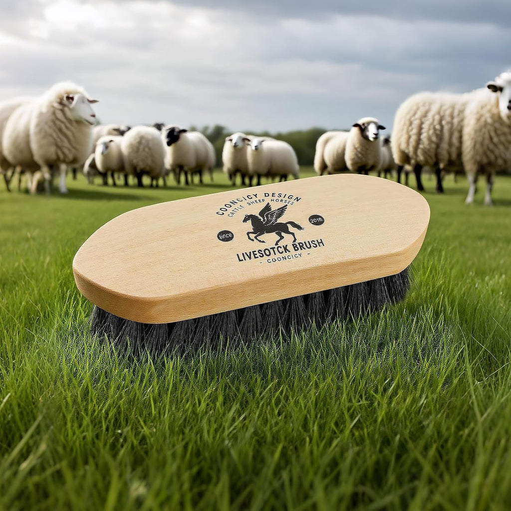 Premium imported equine brush showing high-density bristles.