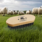 Premium imported equine brush showing high-density bristles.