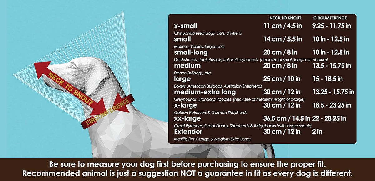 Soft e-collar for dogs after surgery showing reversible black interior