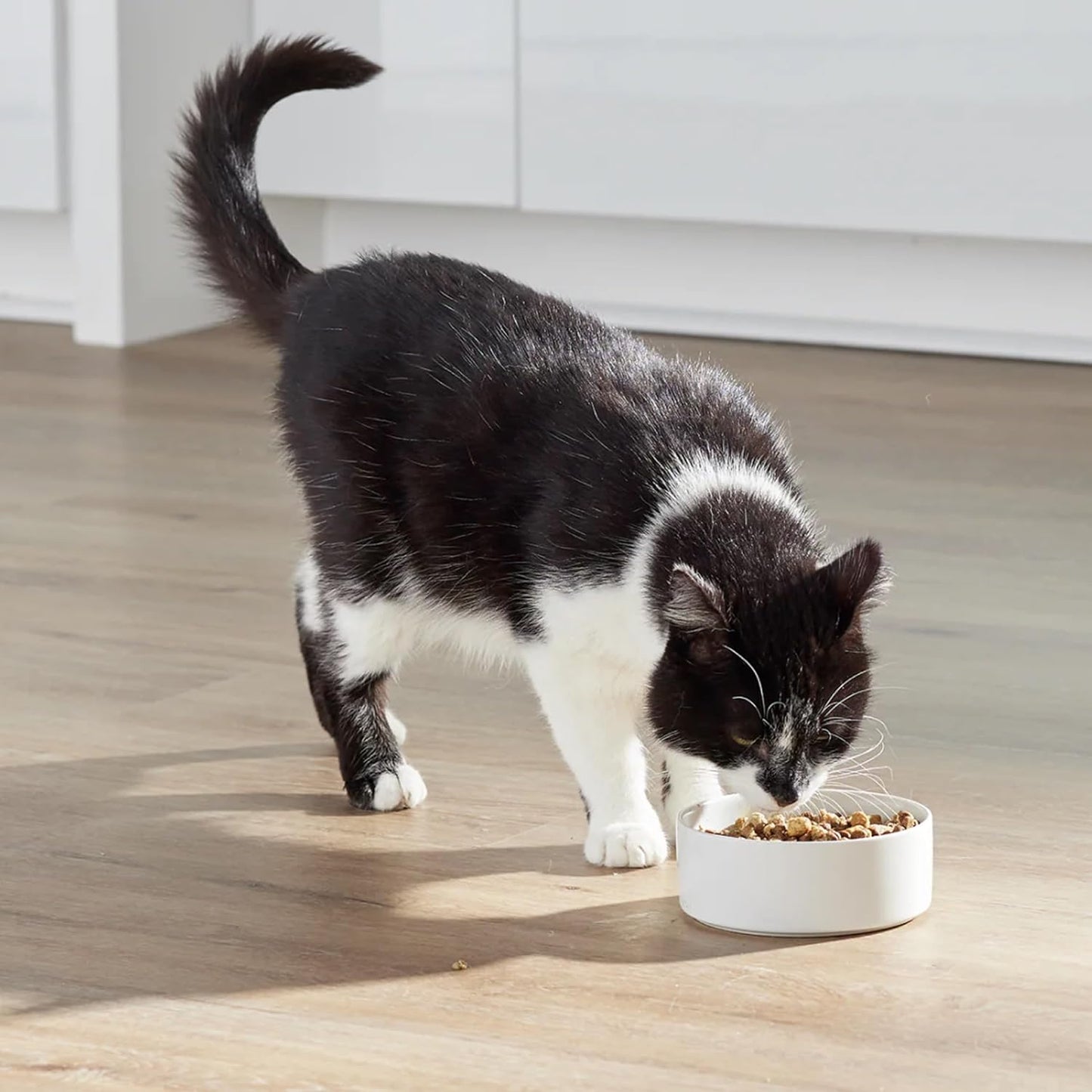 Back label of Open Farm RawMix cat food displaying traceable ingredients and guaranteed analysis