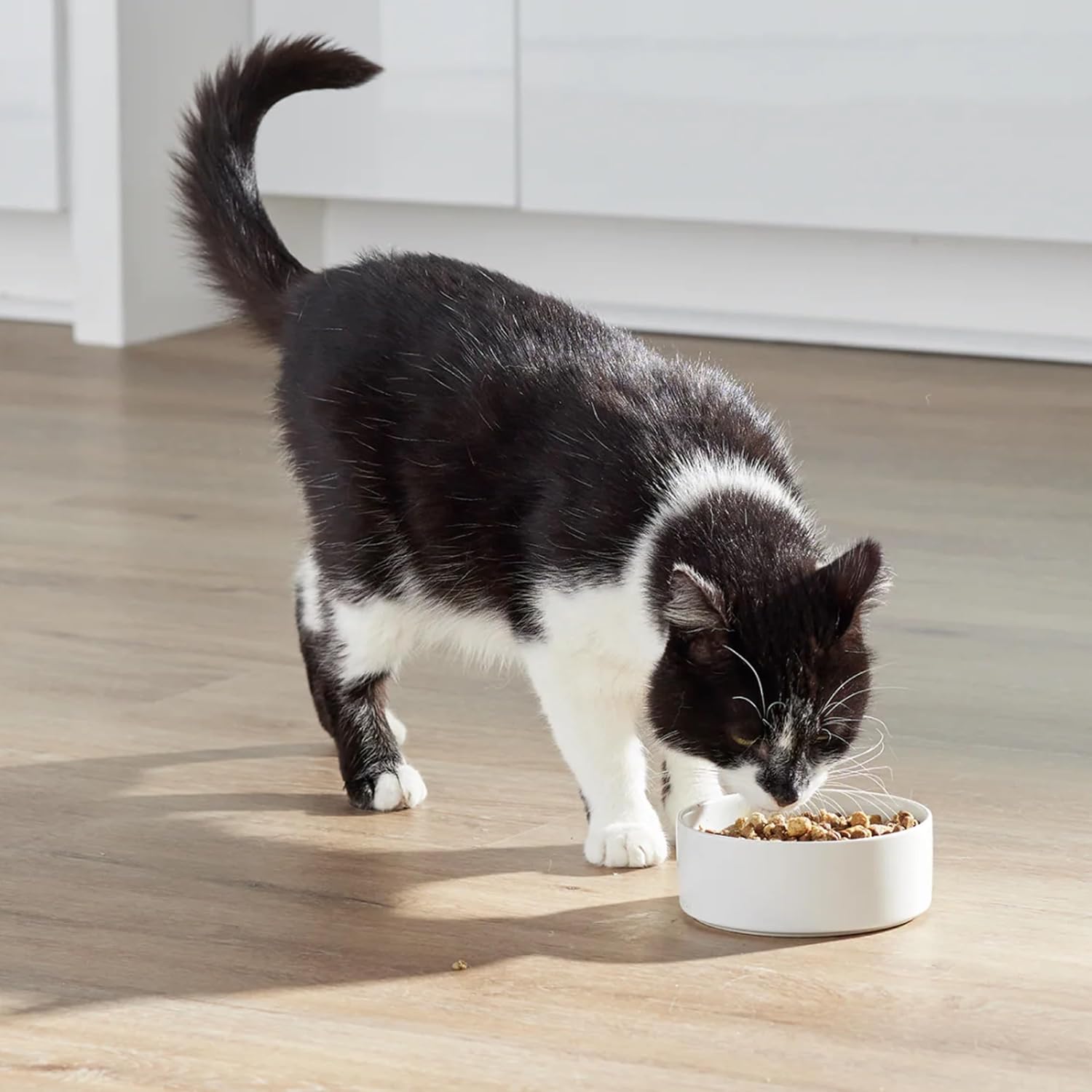 Back label of Open Farm RawMix cat food displaying traceable ingredients and guaranteed analysis