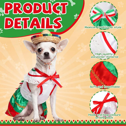 Bulyoou traditional Mexican pet outfit featuring detailed lace borders and vibrant striped pattern.