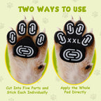 Infographic showing how to measure a dog paw for the correct small size fit