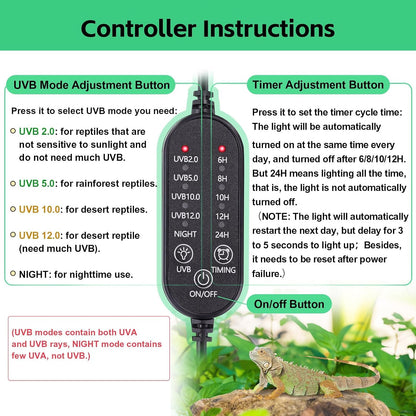 Curved reflector design interior maximizing UV rays for desert amphibians.
