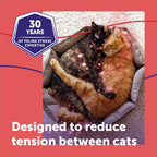 FELIWAY MultiCat cat behavior solution package highlighting the thirty day continuous harmony message.