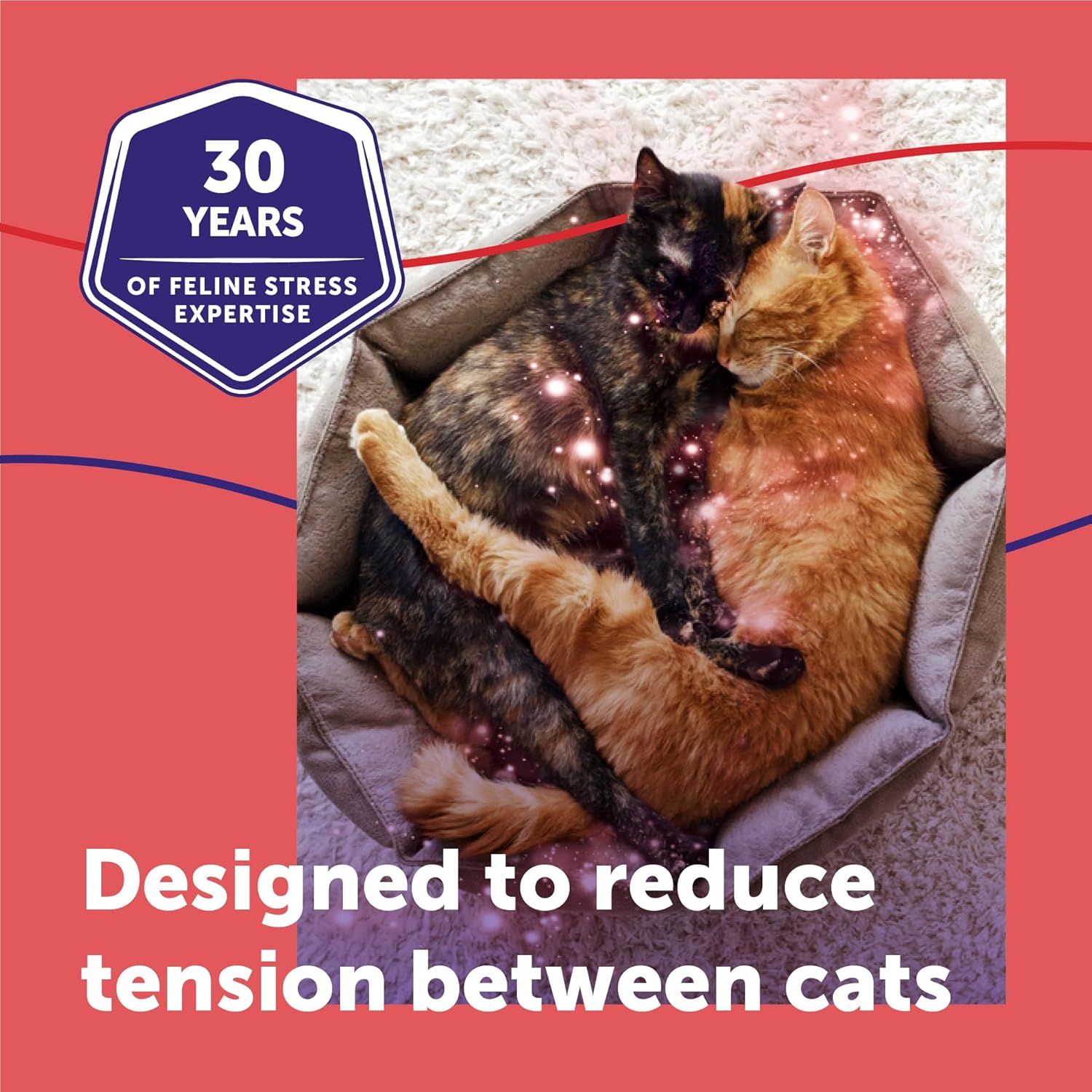 FELIWAY MultiCat cat behavior solution package highlighting the thirty day continuous harmony message.