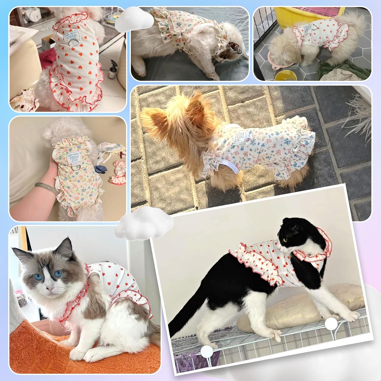 AXIIJGL breathable cat dress variant showing lightweight summer knit texture.