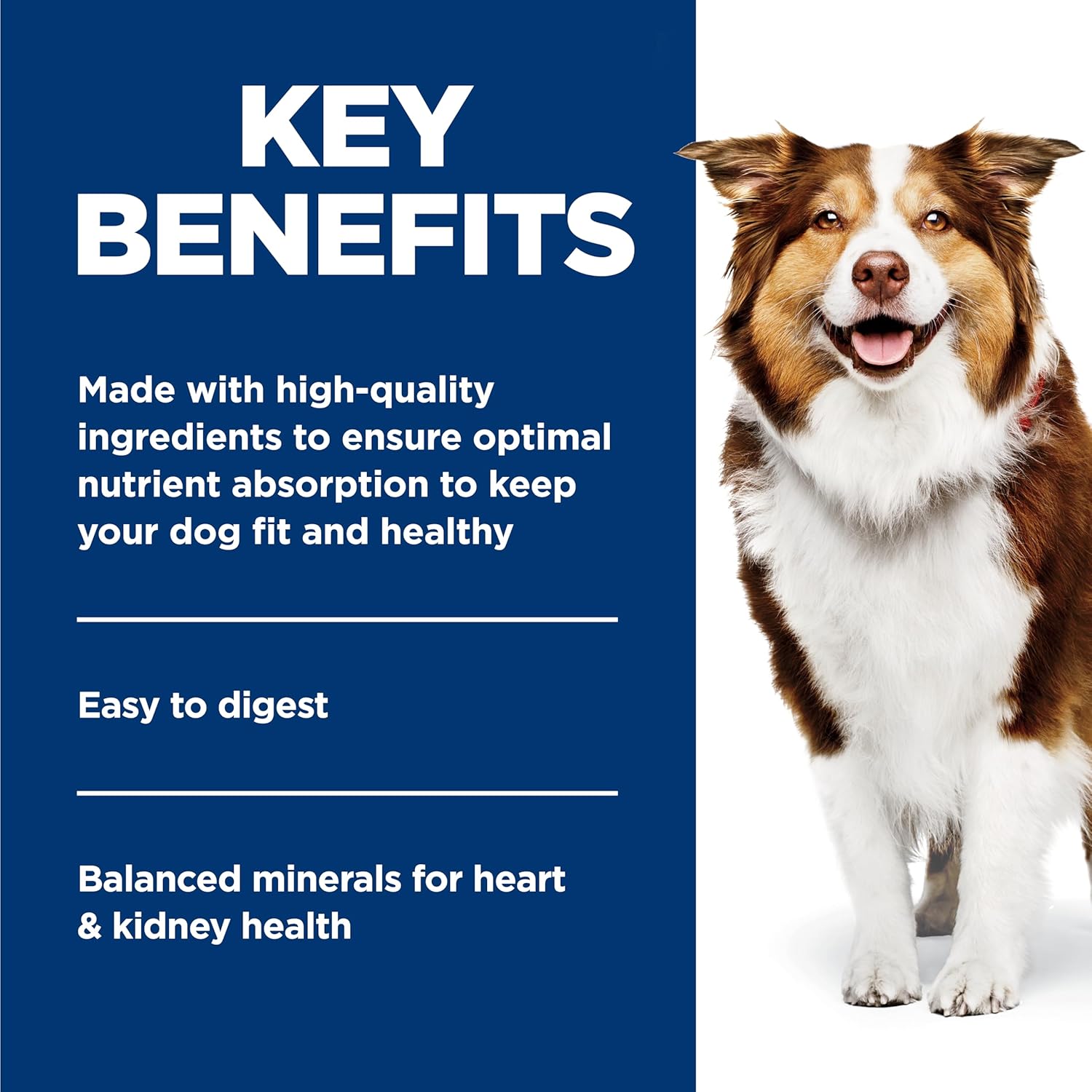 Hill's Science Diet mature adult dog food 12 pack packaging.