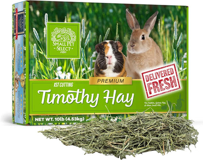 Small Pet Select first cut timothy hay 10 pound box front view premium small pet food