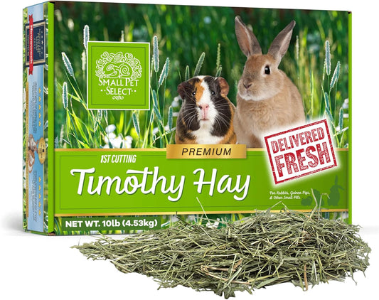 Small Pet Select first cut timothy hay 10 pound box front view premium small pet food