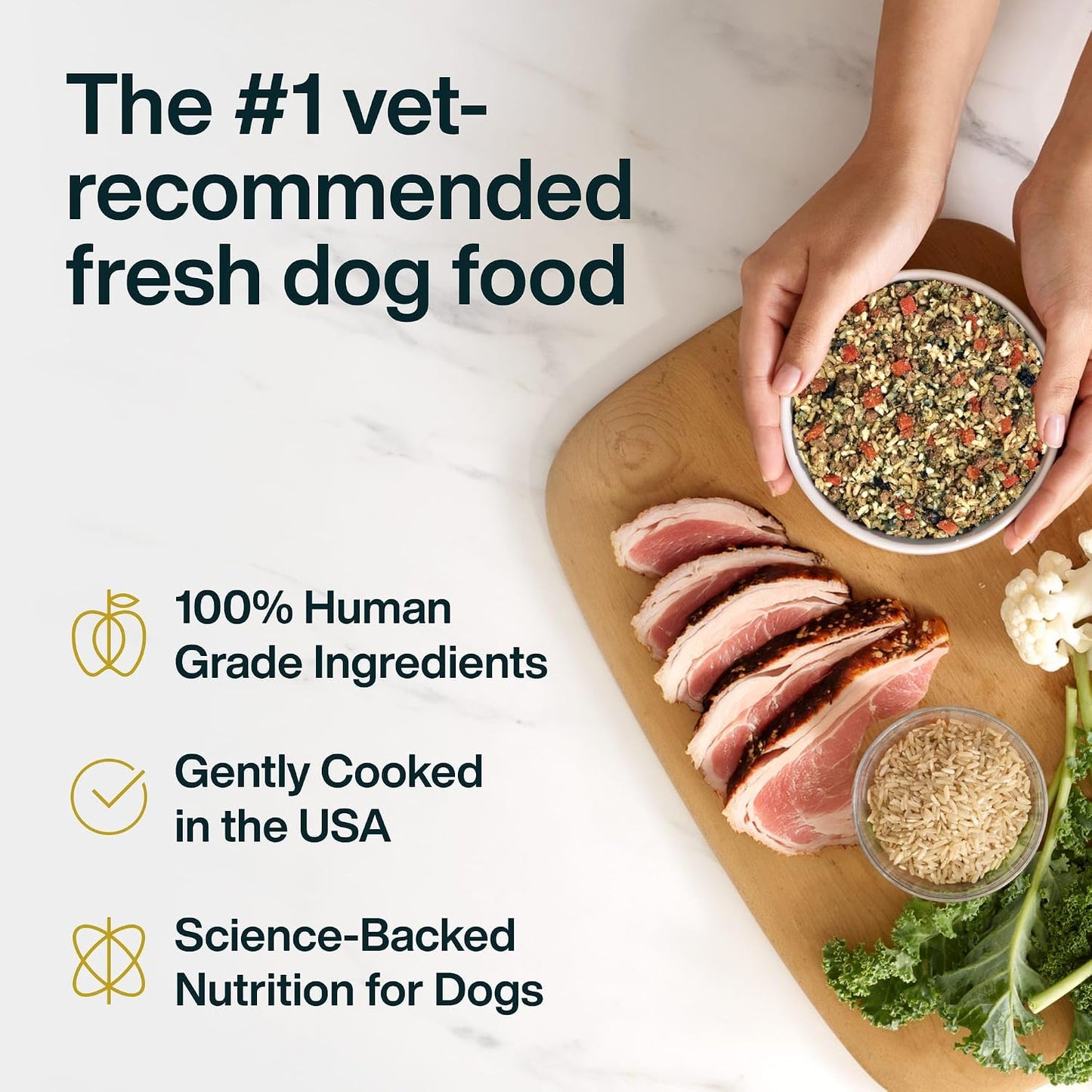 JustFoodForDogs low protein kidney care dog food frozen pack