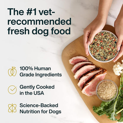 JustFoodForDogs low protein kidney care dog food frozen pack