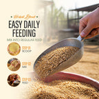 Aevezom Naturals Armor Chicken Dewormer Powder for laying hens
